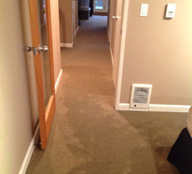 Water-Damage-Cleanup-Des-Moines-WA