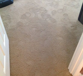 water-damage-cleanup-issaquah-wa
