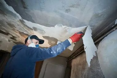 Full service Edgewood damage repair near me in WA near 98372