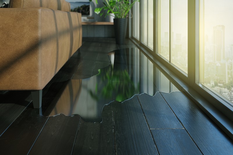 Leading DuPont Flood Damage Contractors in WA near 98327