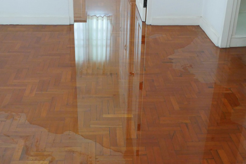 Flood-Damage-Contractors-Lakewood-WA