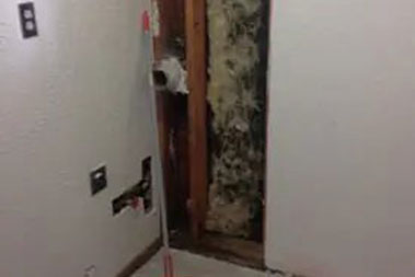 Proven Enumclaw mold treatment in WA near 98022