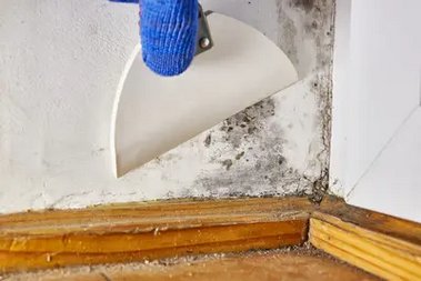 Licensed Duvall removal company in WA near 98019