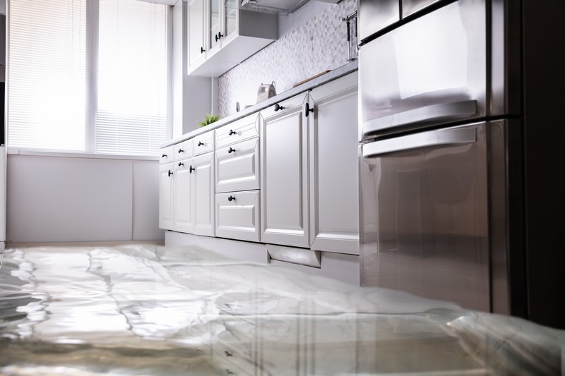 Expert Lacey Water Damage Companies in WA near 98503