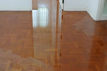 Reliable Covington water damage company in WA near 98042