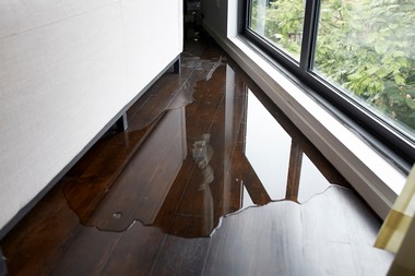 Bellevue water damage repair in WA near 98006
