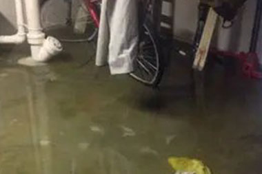 Edgewood water damage restoration specialists in WA near 98372