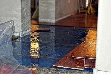Bonney Lake water restoration specialists in WA near 98391