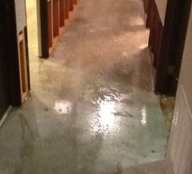 Flood-Damage-Bellevue-WA