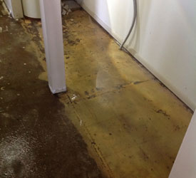 Flood-Damage-Everett-WA