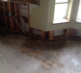Flood-Damage-Kirkland-WA