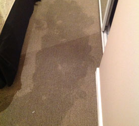 Water-Damage-Cleanup-Kirkland-WA