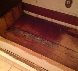 Water-Damage-Cleanup-Lakewood-WA