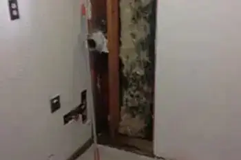 Expert Orting mold restoration services in WA near 98360