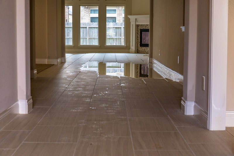 Water-Damage-Company-Olympia-WA