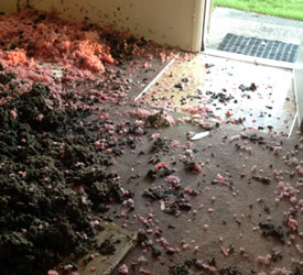 Black-Mold-Removal-Parkland-WA