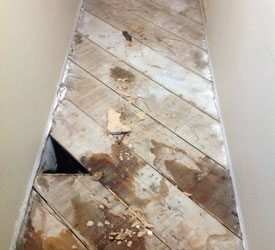 Flood-Damage-Renton-WA