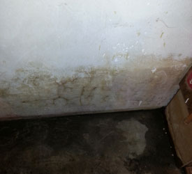 Flood-Damage-Seattle-WA