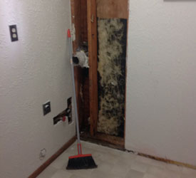 Mold-Remediation-Parkland-WA