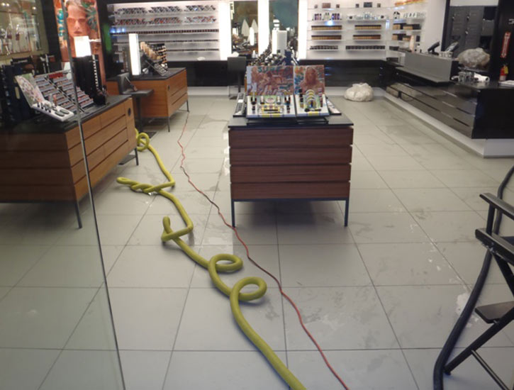 Mold Detection-Kent-WA