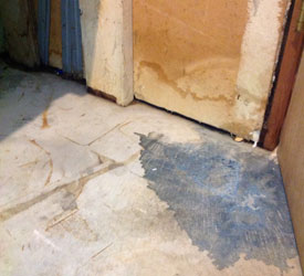 Water-Damage-Cleanup-Marysville-WA