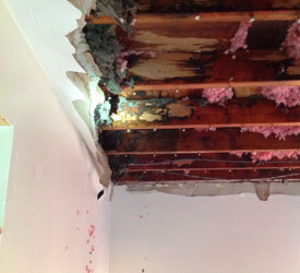 Water-Damage-Federal-Way-WA