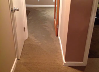 Shoreline flood remediation team in WA near 98133
